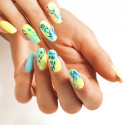 Pictura  Complexa Unghie | Complex Painting Nail Art